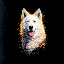 Obrázok poltón Biely ovčiak