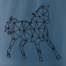 Geometria - kôň Geometria - kôň