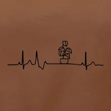 EKG Filodendron EKG Filodendron