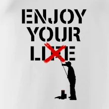 Enjoy Your Lie