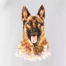German shepherd - vodová farba