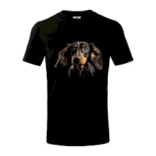 Jazvečík fotka len hlava Jazvečík fotka len hlava