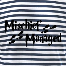 Harry - Mischief Managed