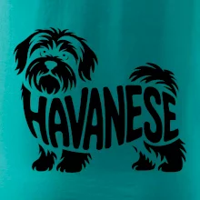 Havanese nápis v tele