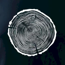 Letokruhy 85 bez veku