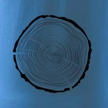 Letokruhy 45 bez veku