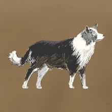 Border kólia kreslená