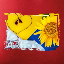 Ukrajina slnečnice a kroj Ukrajina slnečnice a kroj