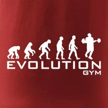 Evolúcia Gym