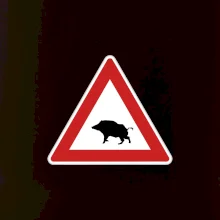 Dopravná značka - Pozor diviak