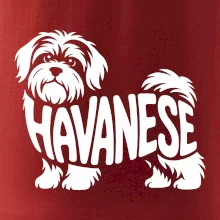 Havanese nápis v tele
