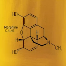 Molekulárna štruktúra Morfín