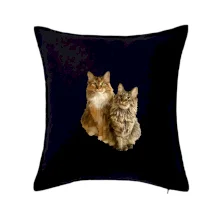 Mačky vectorizované (Moňas)