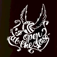 Harry - Zlatá strela Harry - Zlatá strela