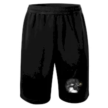 Vlak na koľajisku Vlak na koľajisku