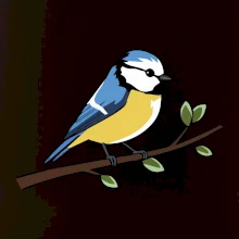 Sýkorka modrinka na vetve