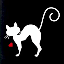 Zamilovaná mačka prehnutá