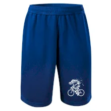 Cyklo kostra Cyklo kostra