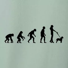 Lagotto romagnolo Evolúcia