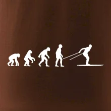 Evolúcia behu - bežky