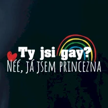 Gay princezna Gay princezna
