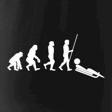 Evolúcia jazdy na bôbu