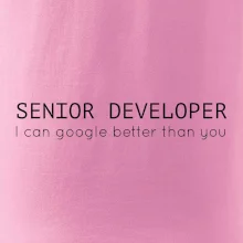 Senior developer google better than you