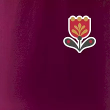 Folklór na prsníku tulipán