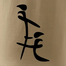 Čínský znak Čínský znak