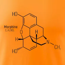 Molekulárna štruktúra Morfín