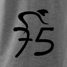 Cyklista oslavuje sedemdesiatpäťpäťky (75)