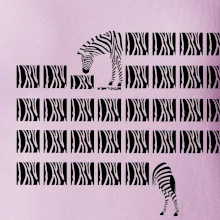 Zebra dlhá