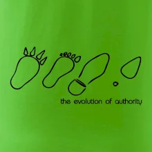 Evolution of authority