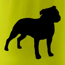 Americký stafordšírsky teriér Na prsníku