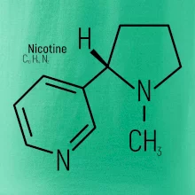 Molekulárna štruktúra Nikotín