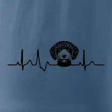 Lagotto romagnolo hlava EKG