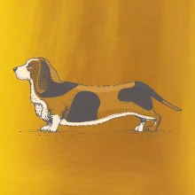 Vintage basset