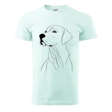 Labrador čierna kresba