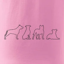 Americký stafordšírsky teriér v rôznych pozíciách