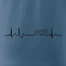 SDH EKG SDH EKG