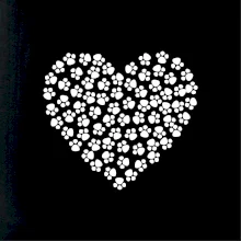 Psia láska Psia láska