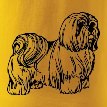 Shih-tzu - chlpatý Shih-tzu - chlpatý