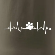 Ekg psia labka Ekg psia labka