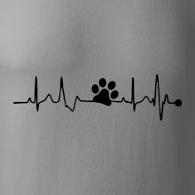 Ekg psia labka Ekg psia labka