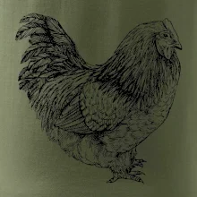 Sliepka čiernobiela