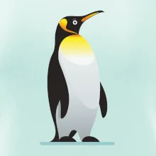 Tučniak so žltou nákrčenkou