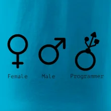Female male programmer Female male programmer
