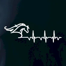 Hlava koňa EKG Hlava koňa EKG