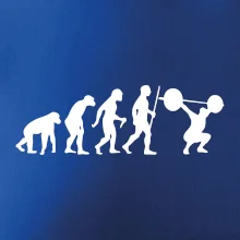 Evolution fitness