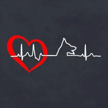 Nemecký ovčiak ekg Nemecký ovčiak ekg